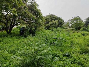 Terreno en Venta en Santiago Tepetlapa Tepoztlán