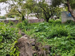 Terreno en Venta en Santiago Tepetlapa Tepoztlán