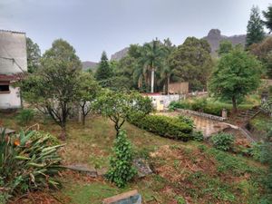 Terreno en Venta en Tepoztlan Centro Tepoztlán