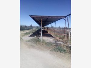 Finca/Rancho en Venta en Bona Gens Aguascalientes