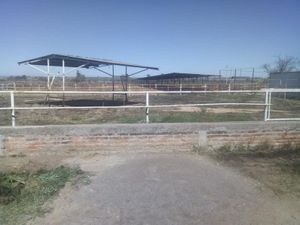 Finca/Rancho en Venta en Bona Gens Aguascalientes