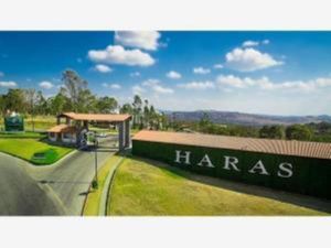 Terreno en Venta en Álamos Haras Puebla