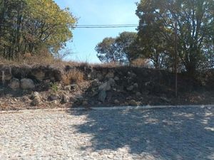 Terreno en Venta en Álamos Haras Puebla