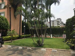 Departamento en Renta en Acapatzingo Cuernavaca