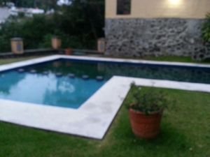 Departamento en Renta en Las Palmas Cuernavaca