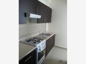 Departamento en Renta en Jacarandas Cuernavaca