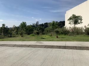 Terreno en Venta en Bosque Real Huixquilucan