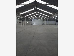 Bodega en Renta en Ampliación San Miguel Iztapalapa