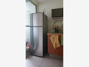 Departamento en Renta en Los Reyes Coyoacán