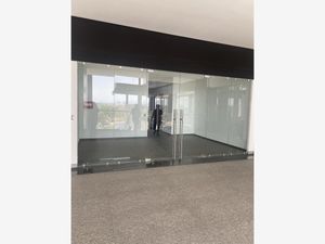 Oficina en Renta en Jurica Querétaro