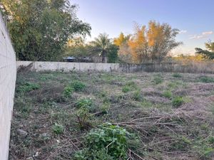 TERRENO EN RENTA  en chichi suarez