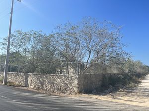 TERRENO EN RENTA CERCA CARRETERA PROGRESO