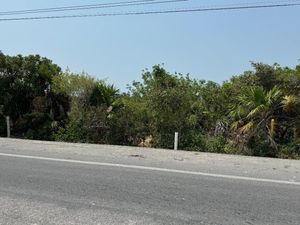 Terreno en Renta Sobre Carretera en Chicxulub Puerto