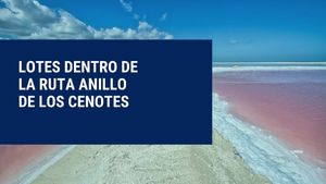 Terrenos de Inversión, Ecológicos, en el Anillo de Cenotes, Yucatán