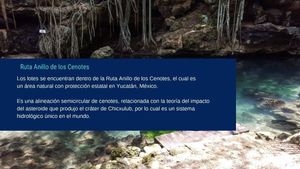 Terrenos de Inversión, Ecológicos, en el Anillo de Cenotes, Yucatán