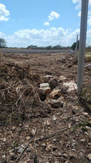 Terreno en venta en Dzitya MÉRIDA YUCATÁN