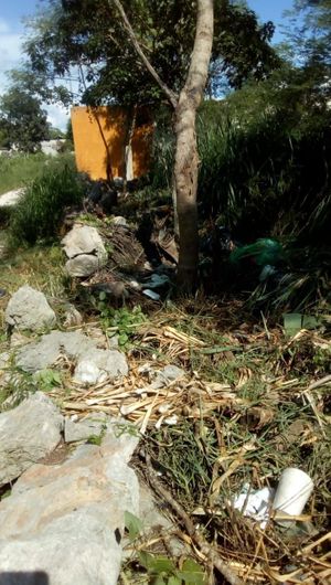 Terreno en venta en Conkal Yucatan