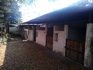 Casa en Venta en Ahuatepec Cuernavaca