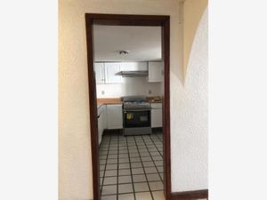 Casa en Renta en Tlaltenango Cuernavaca