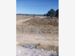 Terreno en Venta en La Griega El Marqués