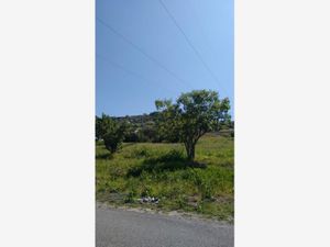 Terreno en Venta en San Pedrito Peñuelas Querétaro