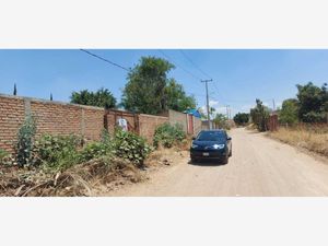 Terreno en Venta en El Aguacate Zapotlanejo