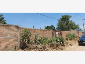 Terreno en Venta en El Aguacate Zapotlanejo