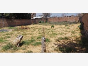 Terreno en Venta en El Aguacate Zapotlanejo