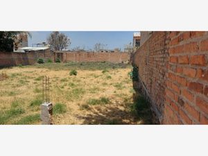 Terreno en Venta en El Aguacate Zapotlanejo