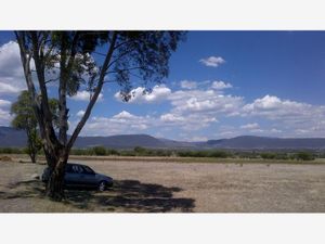 Terreno en Venta en San Vicente Ferrer El Marqués