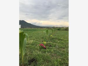 Terreno en Venta en Oacalco Yautepec