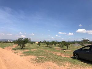 Terreno en Renta en SAN JOSÉ NAVAJAS El Marqués