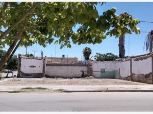 Terreno en Renta en San Pedro Centro San Pedro