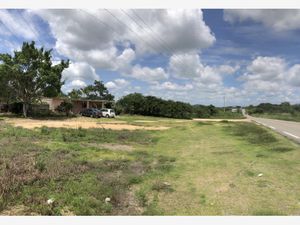 Terreno en Venta en Las Crucecitas Cintalapa de Figueroa