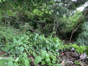 Terreno en Venta en Calichal Tuxtla Gutiérrez