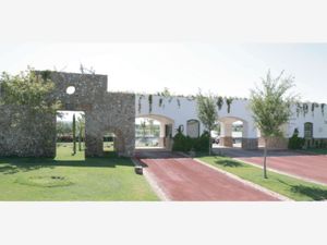 Terreno en Venta en Parras Parras