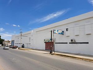 Bodega en Renta en Eduardo Guerra Torreón