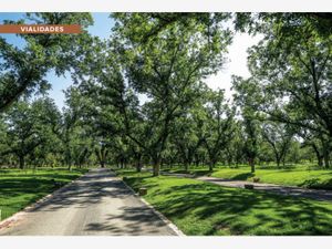 Terreno en Venta en Parras Parras