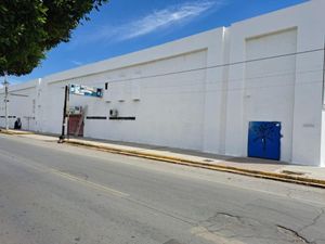 Bodega en Renta en Eduardo Guerra Torreón