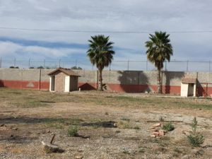 Terreno en Venta en Albia Torreón