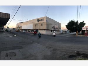 Oficina en Renta en Torreon Centro Torreón