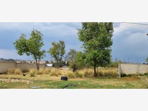 Terreno en Venta en Santa Maria Nativitas Calimaya