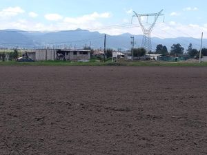 Terreno en Venta en Ejido de la Y Sección Siete A Revolución Otzolotepec
