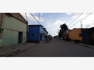 Bodega en Renta en El Carmen Totoltepec Toluca