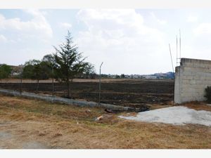 Terreno en Venta en La Concepcion de Hidalgo Otzolotepec