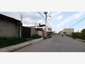 Bodega en Renta en El Carmen Totoltepec Toluca