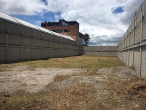 Terreno en Renta en San Nicolas Tolentino Toluca