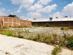 Terreno en Renta en San Lorenzo Tepaltitlán Centro Toluca