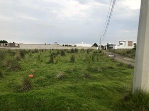 Terreno en Venta en San Miguel Zacango Toluca