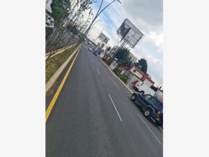 Terreno en Renta en La Providencia Metepec